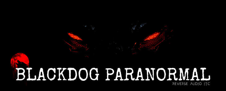 BlackDog Paranormal